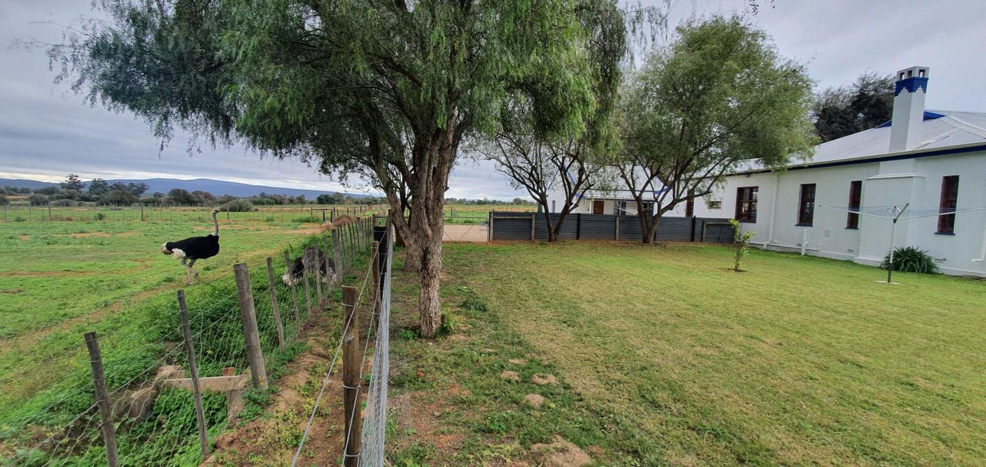Karoo Leeu Self Catering Villa Oudtshoorn Exteriör bild