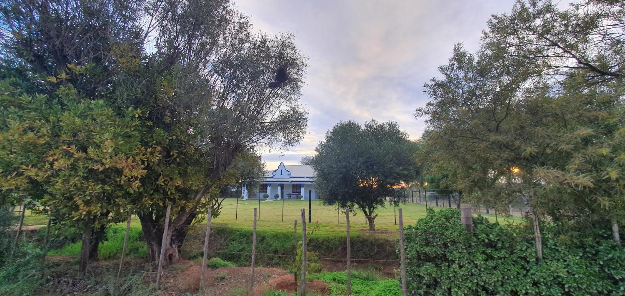 Karoo Leeu Self Catering Villa Oudtshoorn Exteriör bild