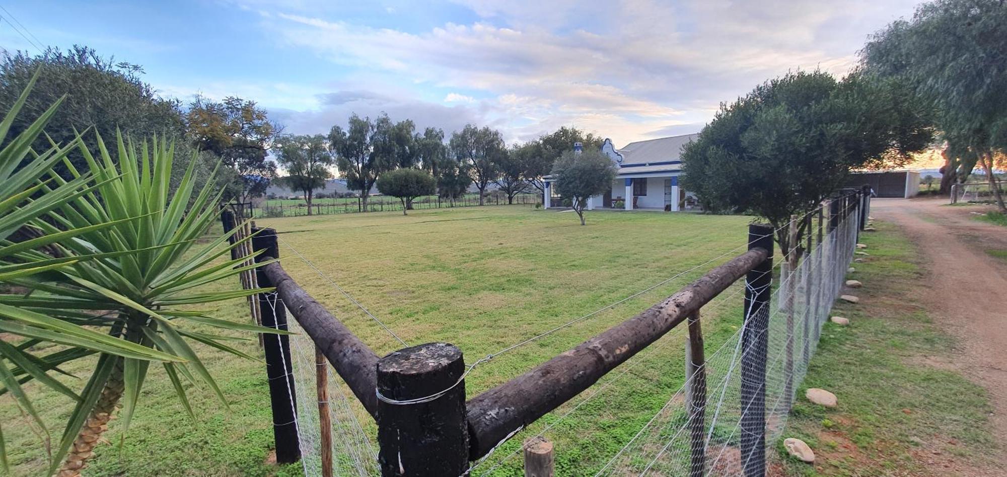 Karoo Leeu Self Catering Villa Oudtshoorn Exteriör bild